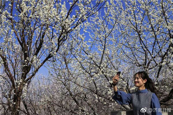 月之暗面杨植麟：提升深度推理能力是ai产品的下一个重点
